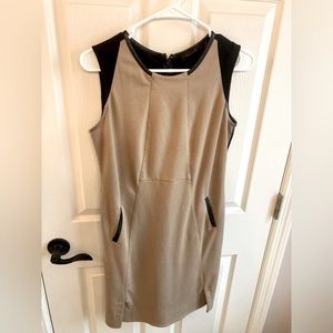 The Limited Stretch Dress.